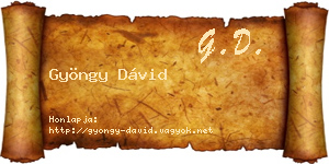 Gyöngy Dávid névjegykártya
